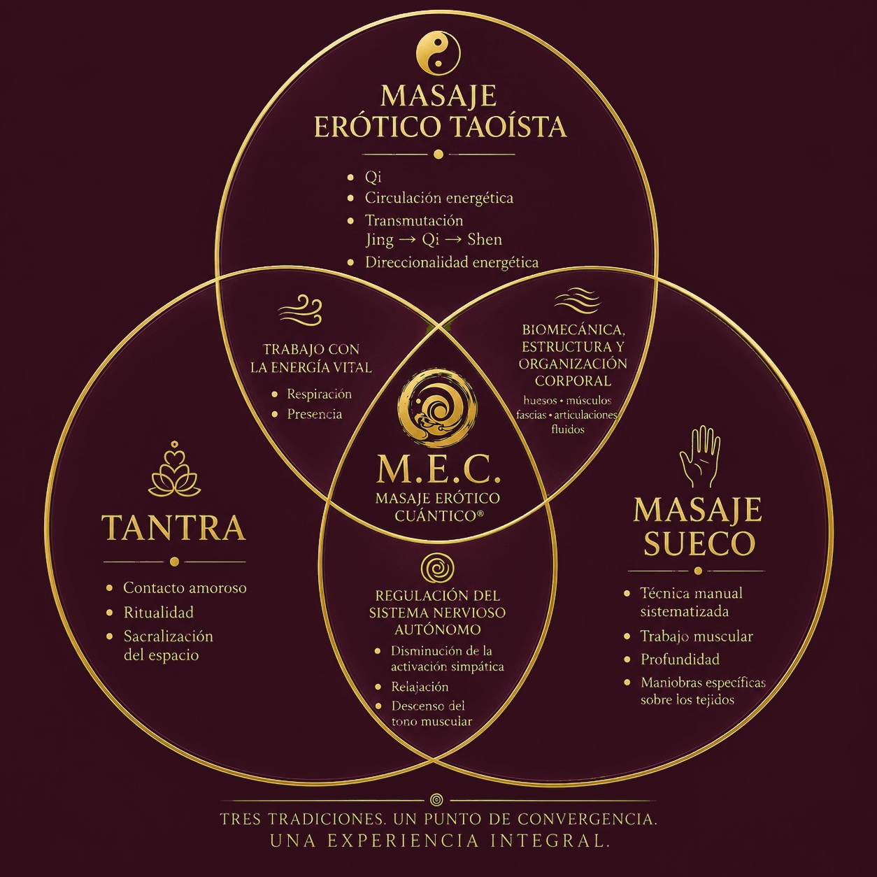 Diagrama de Masaje Erótico Cuántico: masaje erótico taoísta, tantra y masaje sueco